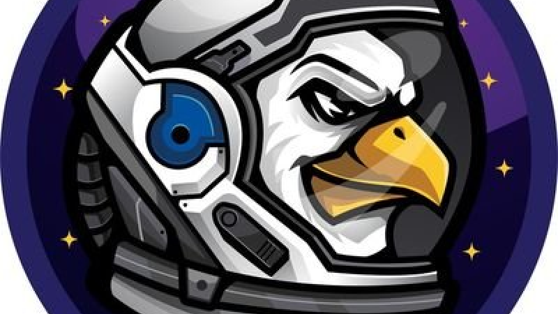SpaceBirdz