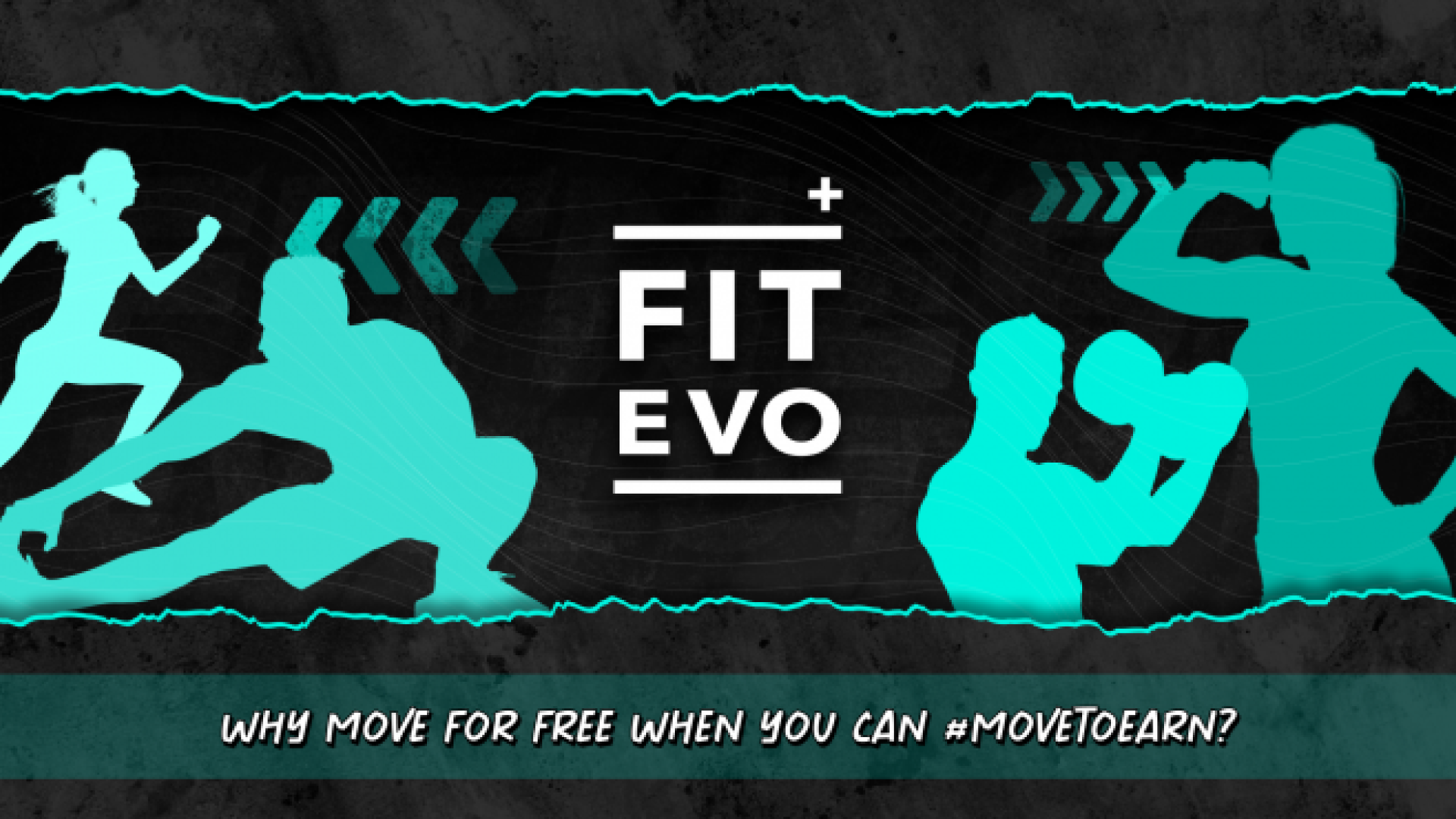 FitEvo